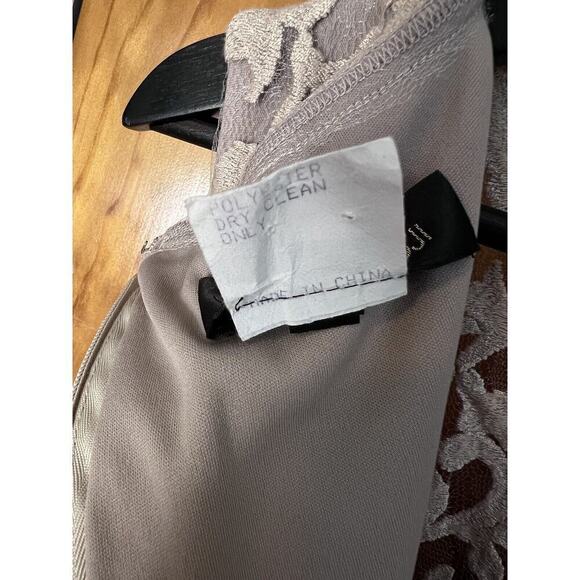 Tadashi Shoji Size 8 Lace Overlay Sheath Dress Neutral Wedding Formal MOB - Picture 6 of 8